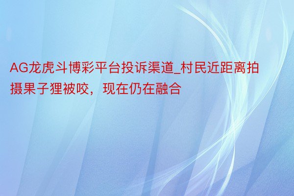 AG龙虎斗博彩平台投诉渠道_村民近距离拍摄果子狸被咬，现在仍在融合